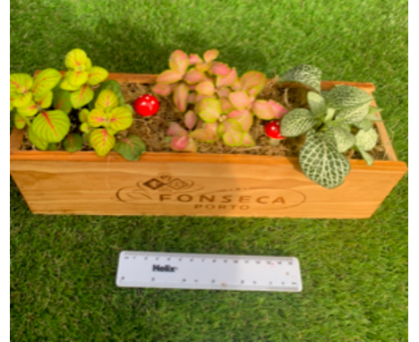 Wooden indoor planter. Not available for in-house P&amp;P, contact Paul O'Hea at Mailboxes on 01925 659133 