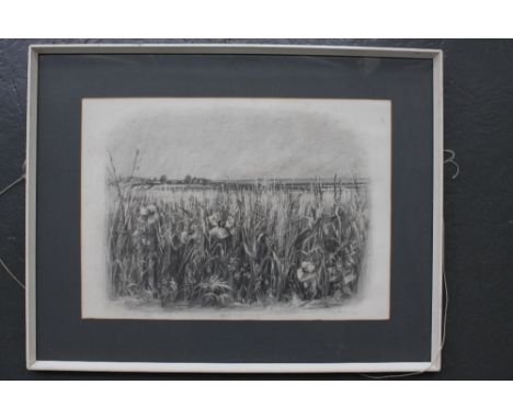 European School, Corn field with poppies, charcoal on paper, signed K. Sandbach, 1973 lower right, framed, mounted and glazed