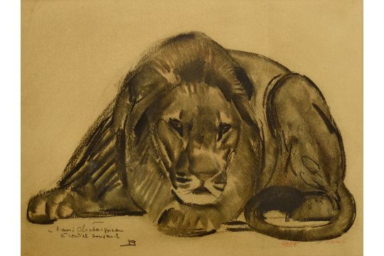 Paul Jouve 1878 1973 Lion Dessin Au Crayon Noir Et