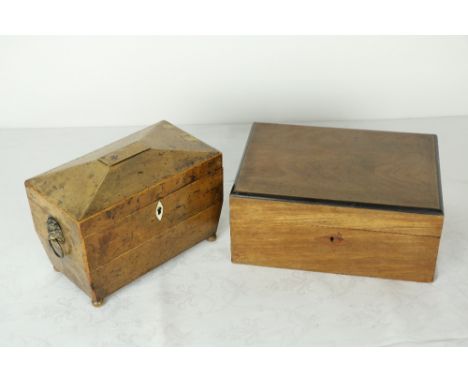 A Regency yew-wood Tea Caddy, of casket form, the rectangular tapering body with hinged cover enclosing a double lidded inter