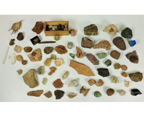 A rare collection of varied Specimen Rocks, Fossils, Coral etc., some iron, coal, blue stone, purple stones etc., approx. 60 