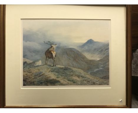AFTER ARCHIBALD THORBURN "Baying stag in Highlands", colour print, limited edition No'd. 56/500, published by The Tryon Galle