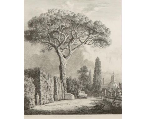 JACOB GEORGE STRUTT (1790-1864) "Pine in the Colonna Gardens, Rome", etching from "Sylva", 14" x 12.25"