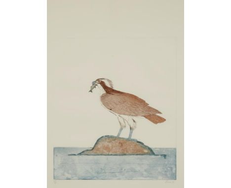 •DAME ELISABETH FRINK (1930-1993) Two studies from the "Birds of Prey" series; "Osprey" and "Honey Buzzard", both signed in p