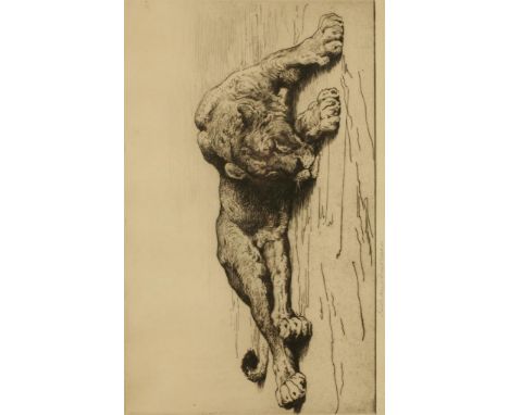 HERBERT DICKSEE (1862-1942) 'Sleeping lioness', signed in pencil in the margin, etching, 7" x 12"