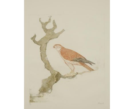 •DAME ELISABETH FRINK (1930-1993) Two studies from the "Birds of Prey" series; "Peregrine Falcoln" and "Kestrel", both signed
