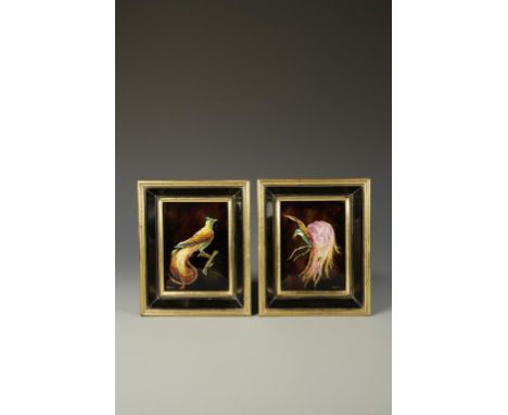 CAMILLE FAURE FOR LIMOGES: TWO ENAMEL ON COPPER paintings of exotic birds against a mottled background, signed "Faure. Limoge