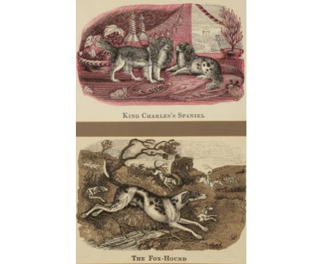TWO PRINTS entitled "King Charles Spaniel" and "The Foxhound", framed as one, the maple frame inscribed "Samuel Wilberforce B
