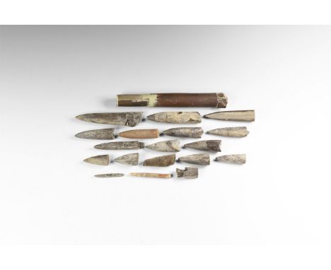 Middle Jurassic to Upper Cretaceous, 160-70 million years BP. A group of seventeen belemnites to include: Belemnopsis bessinu