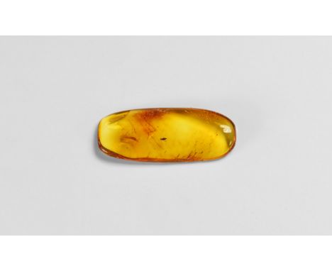 Oligocene Period, 45 million years BP. A clear piece of Baltic amber containing an insect together with other inclusions.  1.