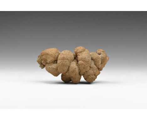 Eocene Period, 58-36 million years BP. A turtle coprolite from the Eocene Age.  169 grams, 88mm (3 1/2"). From an old Bath pa
