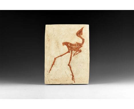 . A museum-quality replica of a fossil bird skeleton in matrix.  539 grams, 21cm (8 1/4").  [No Reserve] Very fine condition.
