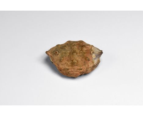 Eocene Period, 58-36 million years BP. A fossil crab, Zanthopsis leachi from the London clay, Chalk Farm, North London, UK, w