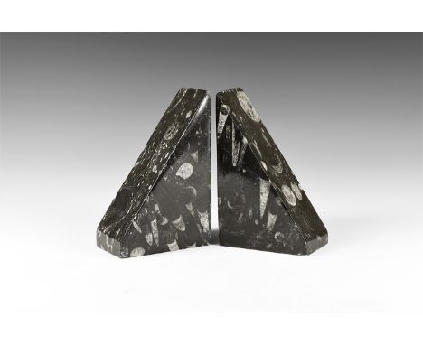 Jurassic Period, 201-66 million years BP. A pair of polished black limestone triangular bookends with fossil crinoids and bel