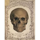 Anton Elfinger (Joseph Cajetan): Die Anatomie des Menschen in 27 lithographierten Tafeln