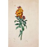 Künstler des 19. Jh.: Blumenstudie