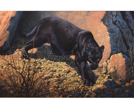 Adrian Rigby (b.1962) Panther, Black Magic, signed lower left, gouache, 47 x 71 cm, frame 78 x 102 cm