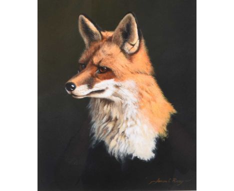 Adrian Rigby (b.1962) Portrait of a Fox, head study, signed lower right, gouache, 31 x 26 cm, frame 60 x 53 cm