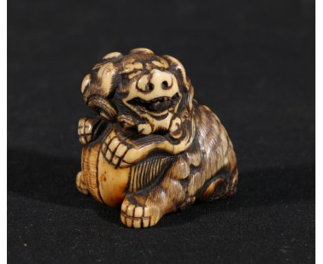 Japanese ivory netsuke in the form of a shi shi dog, its paws resting on a ball, 3.5cm, Meiji