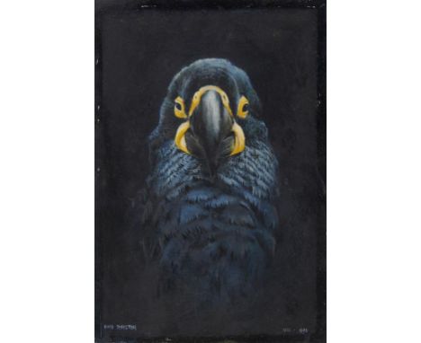 †CYRIL DAVID JOHSTON (1946-) PARROT  signed and dated, oil on board, 24 x 16.5cm, unframed ++Good condition, possibly requiri
