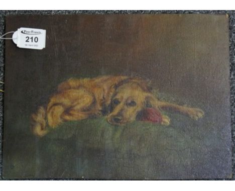 British school (20th Century), study of a golden retriever, signed with monogram, oils on panel. 22.5 x 30cm approx. (B.P. 24