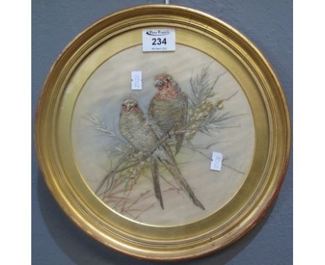 Silk embroidered panel depicting two parakeets on a branch. 22cm diameter. Framed and glazed. (B.P. 24% incl. VAT)