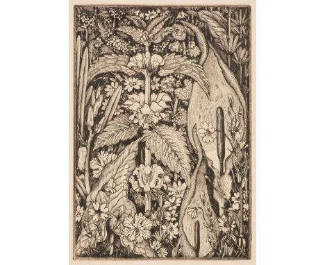 AR  * Tanner (Robin, 1904-1988). Hedge Flowers, [1936], etching, 'Robin Tanner The Memorial Portfolio' blindstamp to lower ri