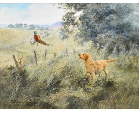 Henry Wilkinson R.E., A.R.C.A. (1921-2011), Golden labrador and a pheasant, signed, oil on canvas, 39 x 49cm, 15.5 x 19.25in.