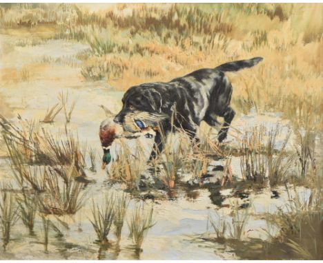 Henry Wilkinson R.E., A.R.C.A. (1921-2011), Black labrador retrieving a duck, signed, oil on canvas, 48.5 x 59cm, 19.25 x 23.