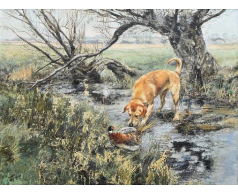 Henry Wilkinson R.E., A.R.C.A. (1921-2011), Golden labrador retrieving a pheasant, signed, oil on canvas, 50 x 65cm, 19.75 x 