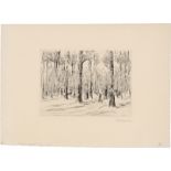 Liebermann, Max: Tiergarten
