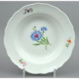 Teller Meissen/ plate