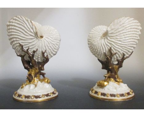 A pair of Royal Worcester vases in the form of nautilus shells on stylised coral bases (2)  