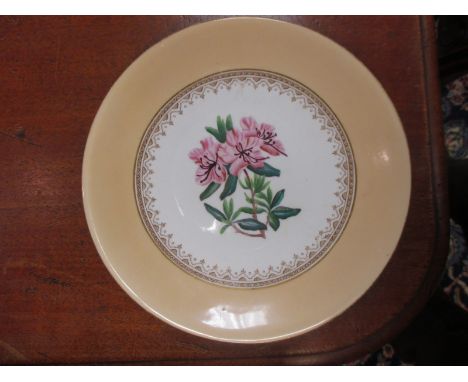 A Derby porcelain part dessert service, and a botanical printed part service, possibly Worcester  