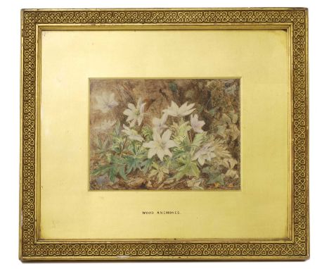 Constance Hilliard (1852-1915) 'Wood Anemones',signed and dated '1880' l.l., pencil, watercolour, and bodycolour11.5 x 16cm, 