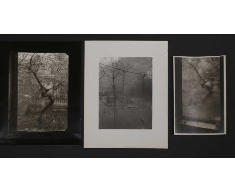 Josef Sudek (Czech, 1896-1976) three gelatin silver print photographs, 20th century, from the series 'Window of my Studio':Sc