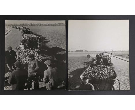 Robert Capa (Hungarian-American 1913-1954), two photographic prints, c.1949, depicting post-war farming in Poland, inscribed 