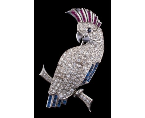 A 20th century diamond, ruby and sapphire 'cockatoo' brooch: pave-set with single-cut diamonds,  calibre-cut ruby crest and s