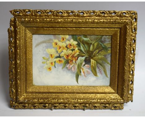 An English porcelain plaque, painted by G A Marple, signed, with orchids, 19cm x 12cm, framed