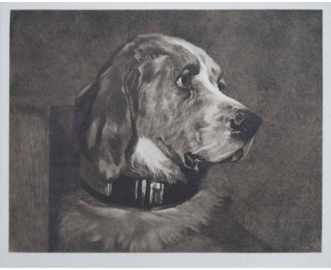 Thomas Landseer A.R.A. (1795-1880),   "Odin", after Sir Edwin Landseer R.A. (1802-1873), published 1st October, 1887 by J. Wa