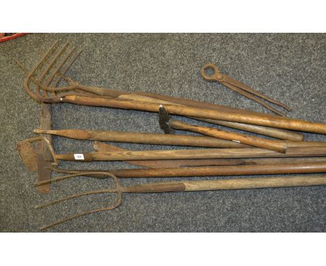 Tools - garden tools including hoes; pitchfork ;  etc 