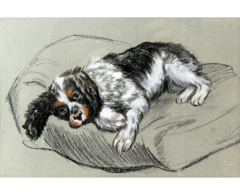 Dora Roderick, 20th century English School, 'Gypsy', portrait of a tri-coloured spaniel, charcoal and coloured chalk, label v