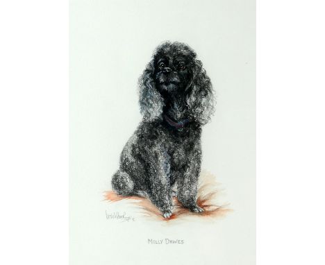 Michelle Pearson Cooper, British 20th/21st century, 'Molly Dawes', portrait of a black poodle, charcoal and watercolour, sign