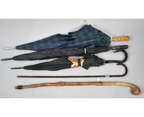 A Collection of Three Umbrellas, One Walking Stick and a Walking Cane with Silver Collar