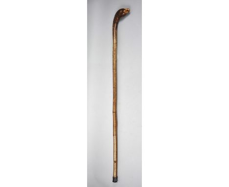 A Rustic Walking Stick with Carved Birds Head Handle