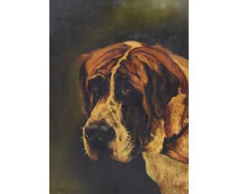 M.A.; oil on canvas, portrait study of a St. Bernard, initialled lower right, 49.5 x 34cm, in slip frame.