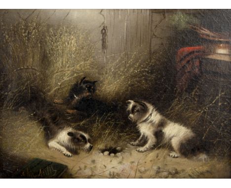 Manner of George Armfield/Terriers Ratting/oil on canvas, 28.5cm x 39cm and/Marjorie Cox (1915-2003)/Cleo/signed, numbered an