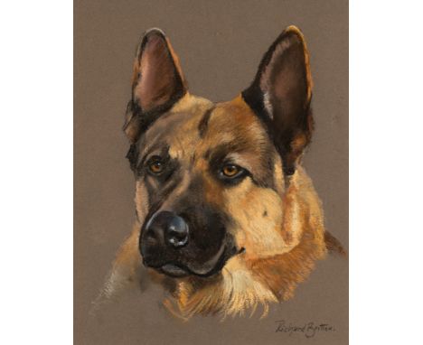 Richard Britton (British, born 1931)/Portrait of a German Shepherd/signed/pastel, 30cm x 24cm Condition Report: ARR Artist's 