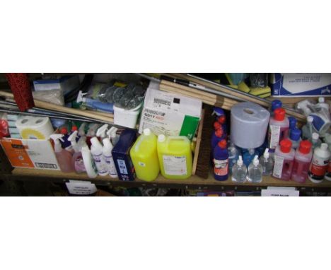 A very large collection industrial and domestic cleaning products to include bleaches, mops, gloves, toilet rolls, kitchen ro