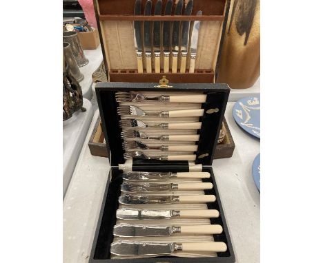 A MAHOGANY BOXED CANTEEN OF CUTLERY AND A BOXED FISH KNIFE AND FORK SET 